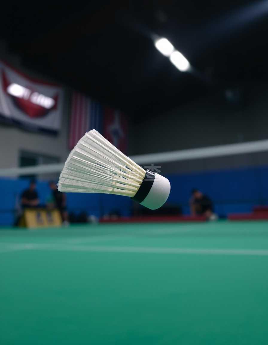 队的既定赛 队的既定赛